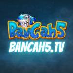 Bancah5 tv