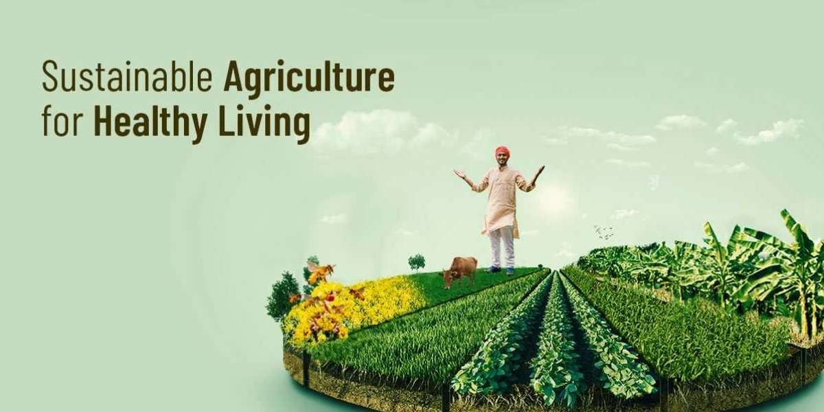Sustainable Agriculture: Transforming Food Production