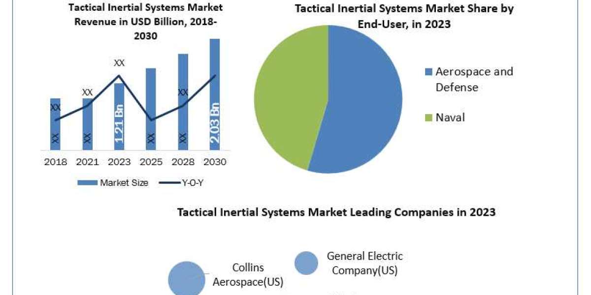 Tactical Inertial Systems