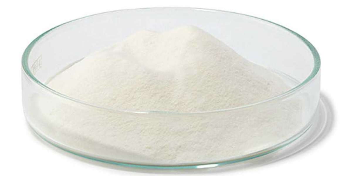 Agar Market is Anticipated to Witness High Growth Owing to Rising Application in Food Industry