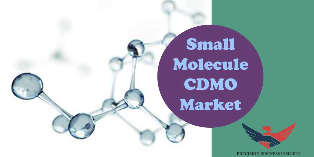 Small Molecule CDMO Market Outlook, Trends, Growth Insights 2024