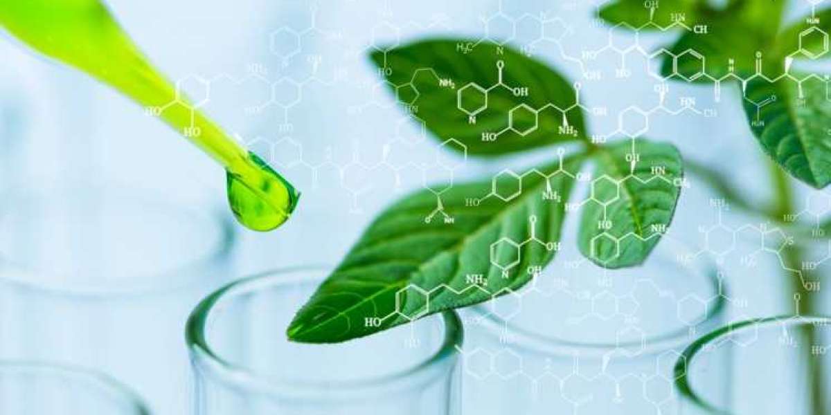 Biotechnology Market size is estimated to grow USD 762.4 billion in 2027