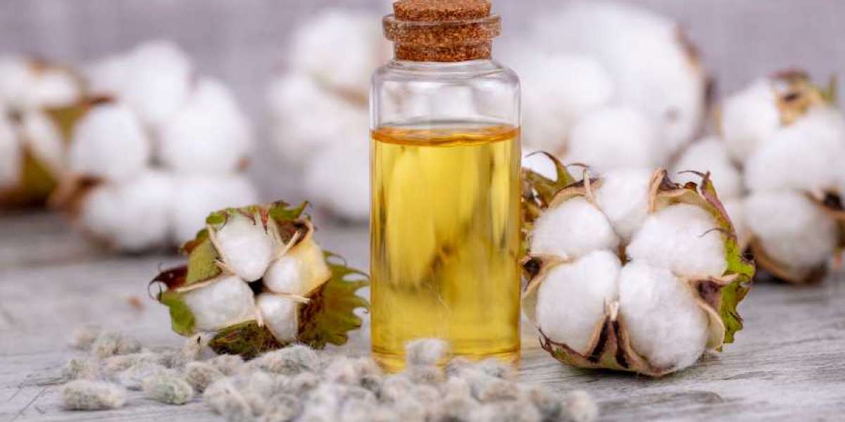Cottonseed Oil Manufacturing Plant Project Report 2024: Business Plan, Raw Materials, Cost and Revenue
