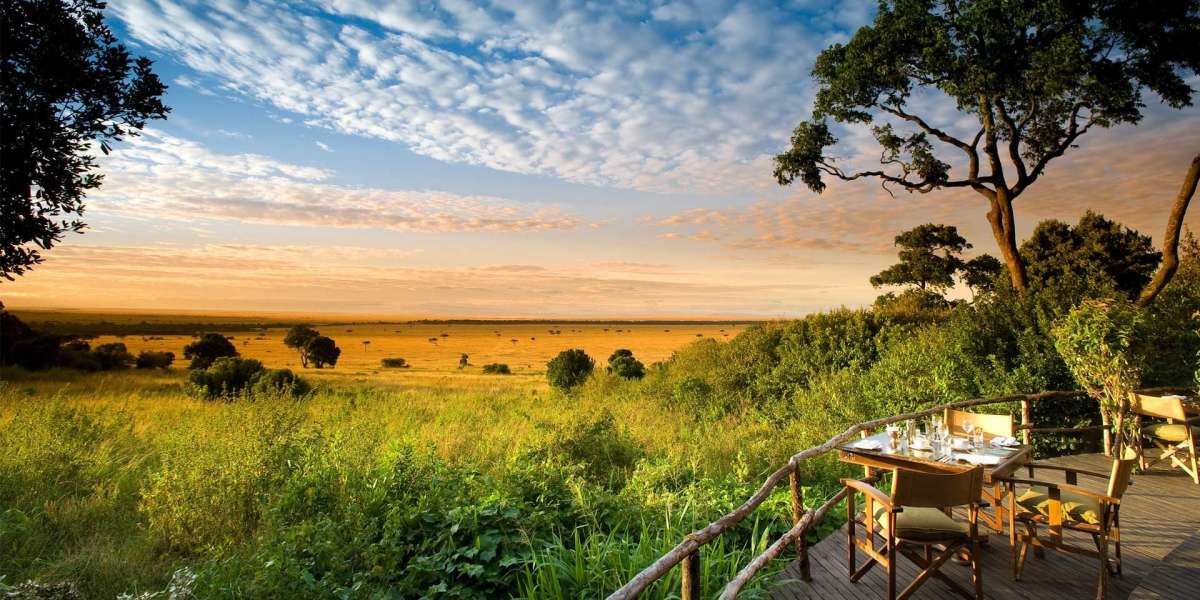 Tsavo Treasures: Exploring Kenya's Largest National Parks