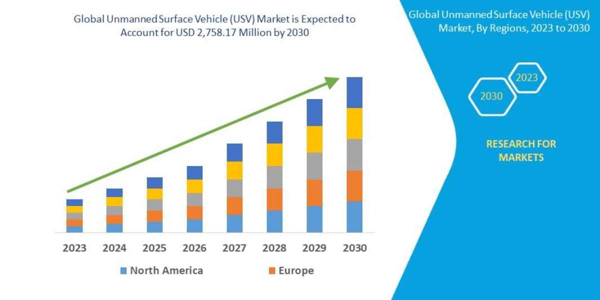 UNMANNED SURFACE VEHICLE (USV) Market Size, Share, Trends, Growth and Competitive Outlook