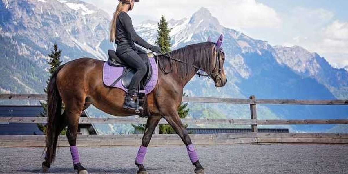 Find the Best Equestrian Trainers in the UK