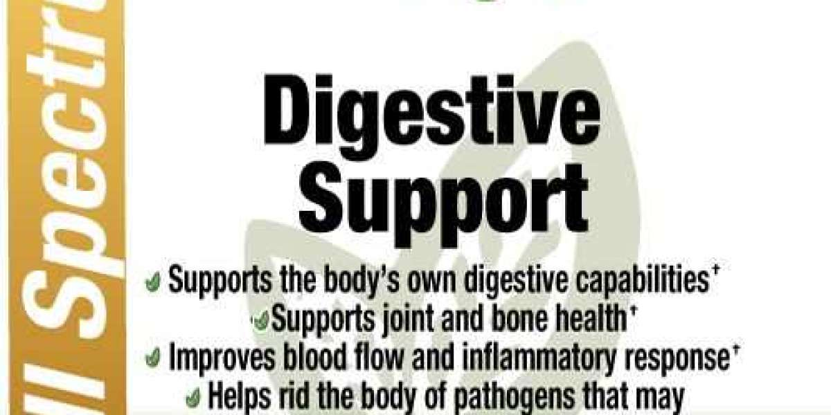 The Ultimate Guide to Full Spectrum Digestive Support – 60 Veg Caps