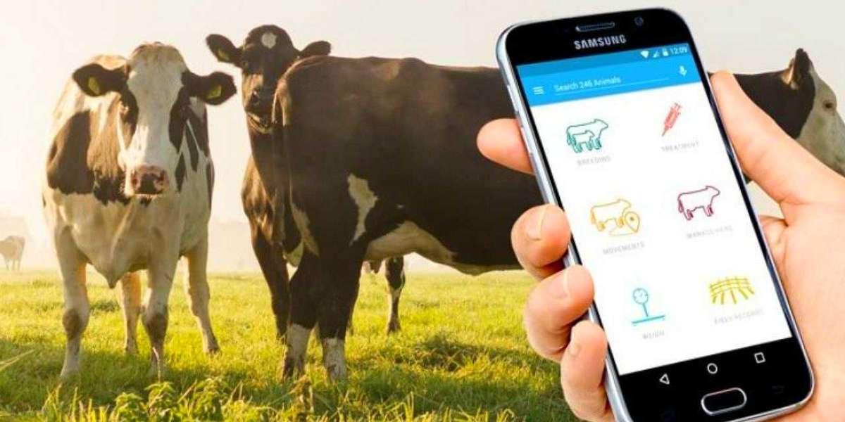 From Farm to Cloud: The Top 5 Livestock Monitoring Companies Driving Change