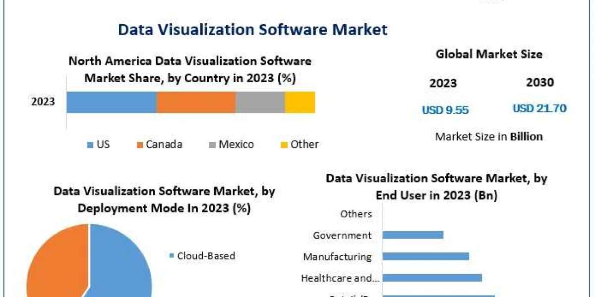 Data Visualization Software Market Trends, Size, Share, Growth Opportunities, and Emerging Technologies 2030