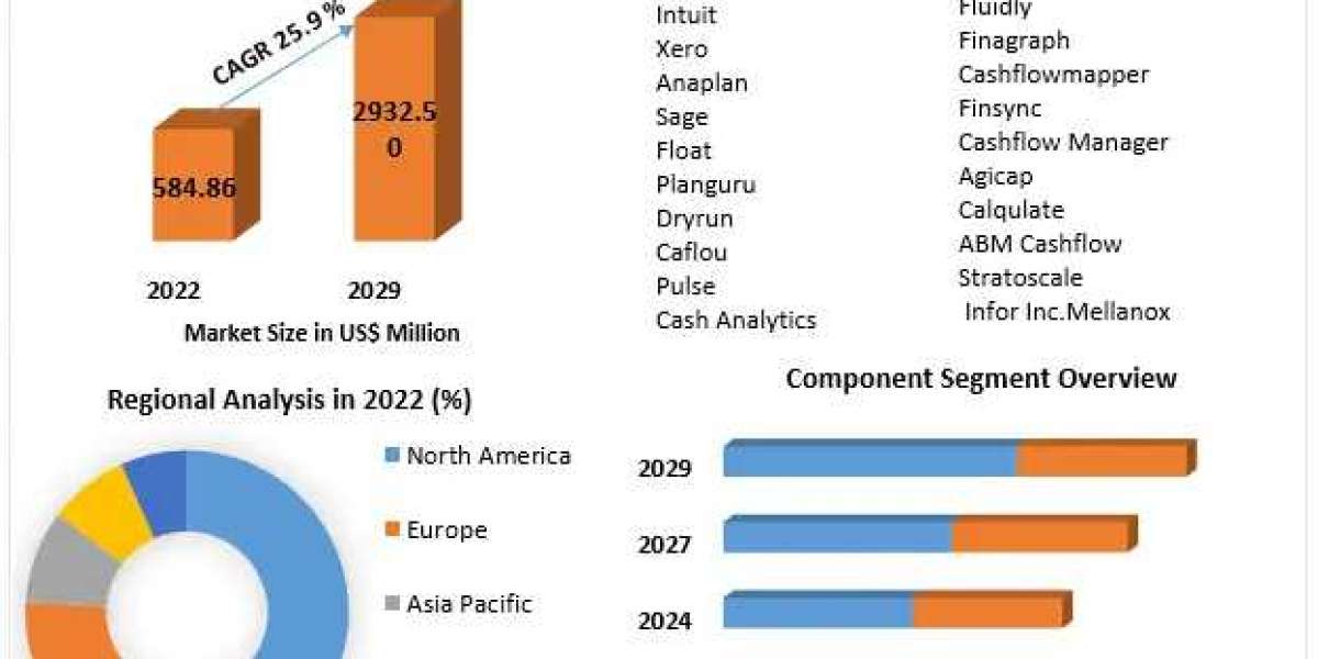Cash Flow Market Application and Geography Trends, Business Trends, Size, Growth and Forecast To 2030