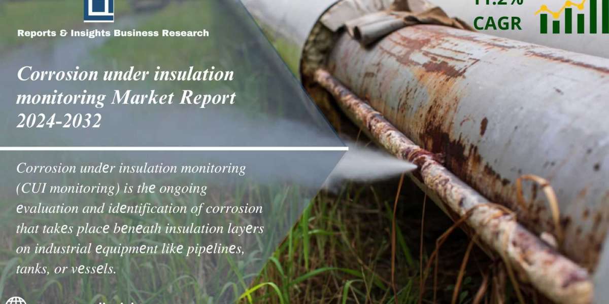Corrosion Under Insulation Monitoring Market Size, Trends & Forecast 2024-32