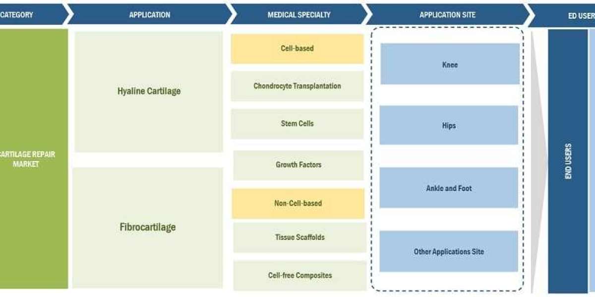 Navigating the Landscape: Strategies for Capitalizing on Cartilage Repair Market Growth