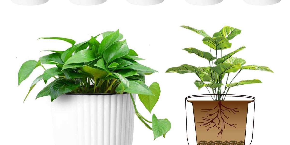 Self-watering Planters and Pots Market Significant Players, Trends, Segmentation and Scope Forecast 2030
