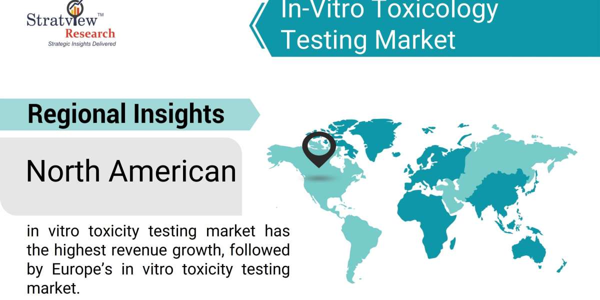 A New Era of Safety Assurance: Insights into the In-Vitro Testing Market