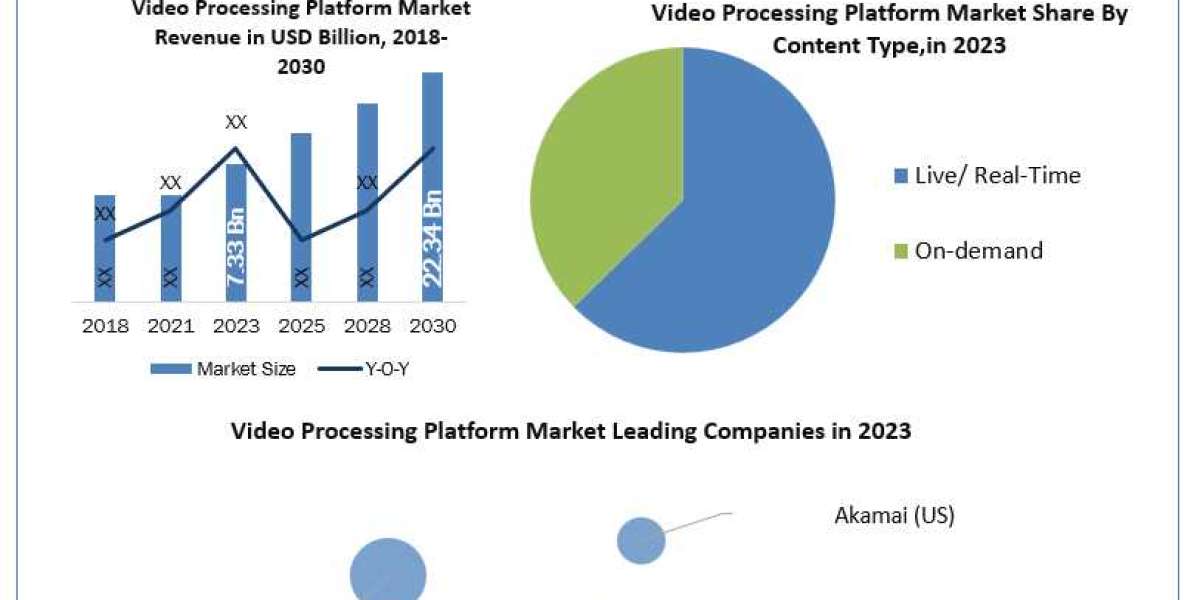 Video Processing Platform Market 