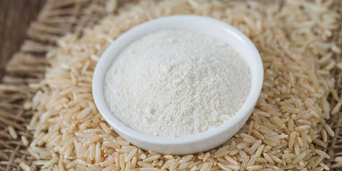 Brown Rice Powder Market Trends, Analysis, Segmentation, Forecast to 2030