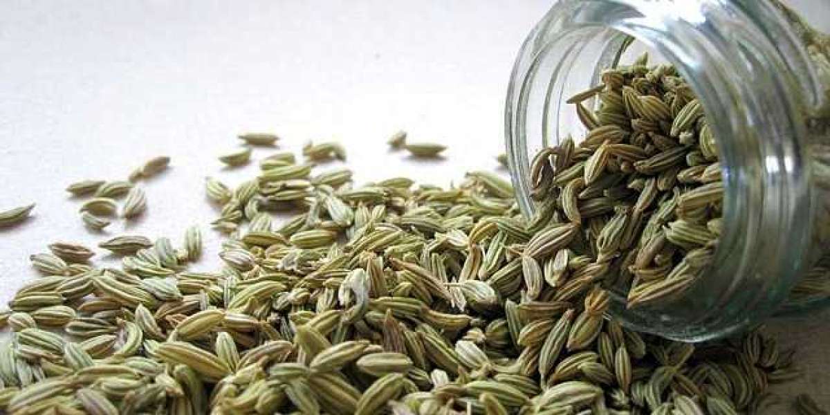Fennel Seed Powder Market Regional Outlook, Price Trends & Forecasts to 2032