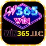 win365 llc