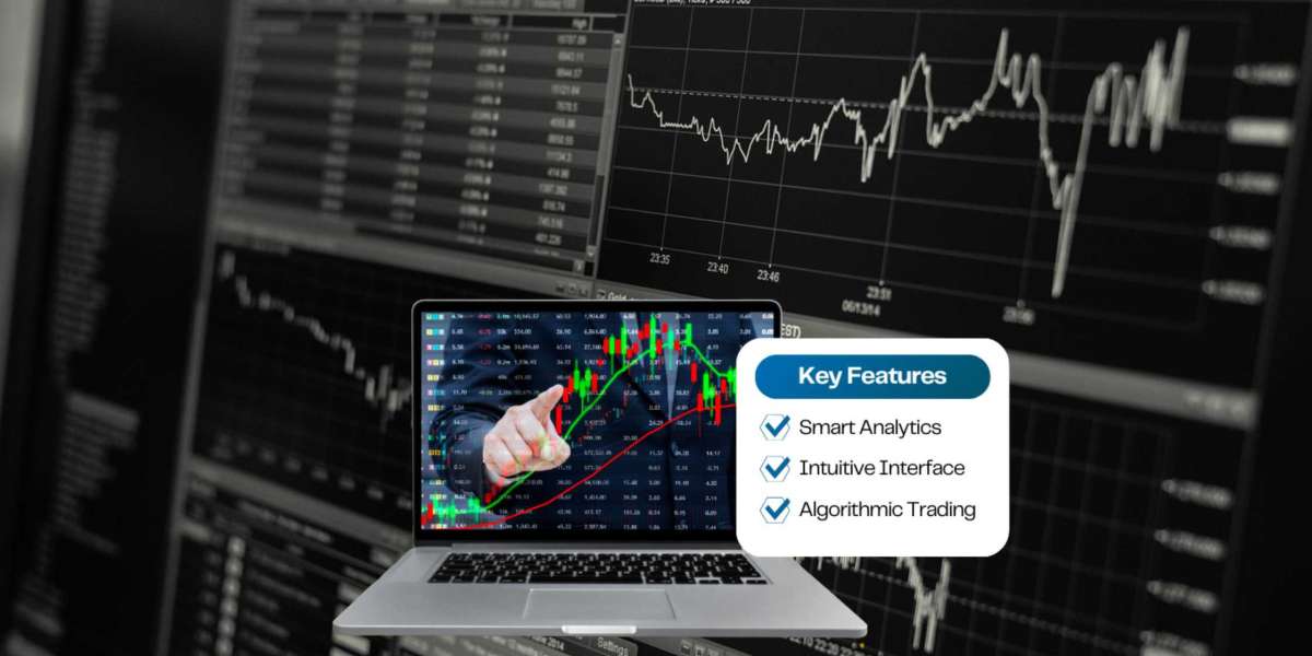 How do user reviews and ratings help in determining the top forex trading platforms in the market?