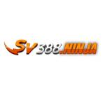 Sv388 Ninja