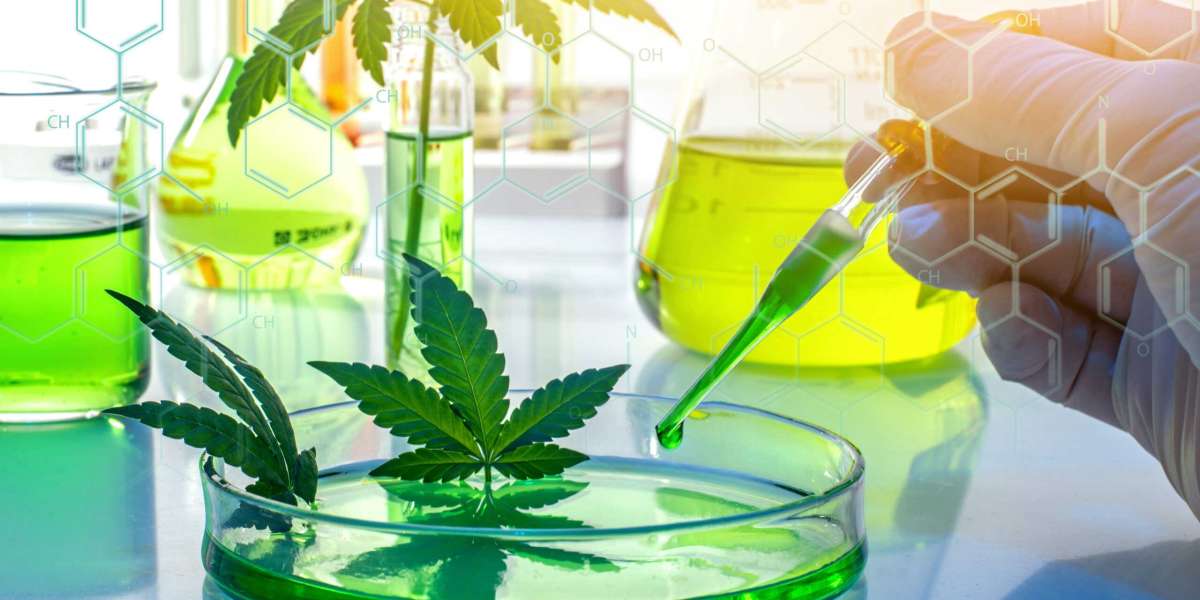 Cannabis Testing Market Size, Share, Forecast Research Report 2023-2033