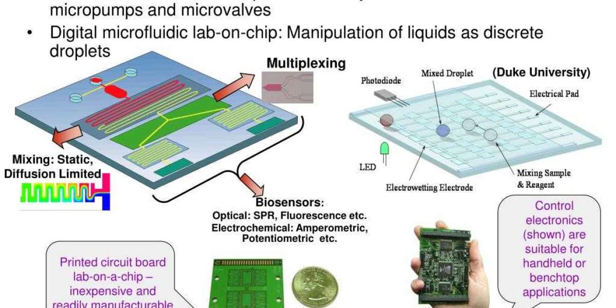 Beyond Boundaries: Exploring the Global Reach of Microfluidics Innovators