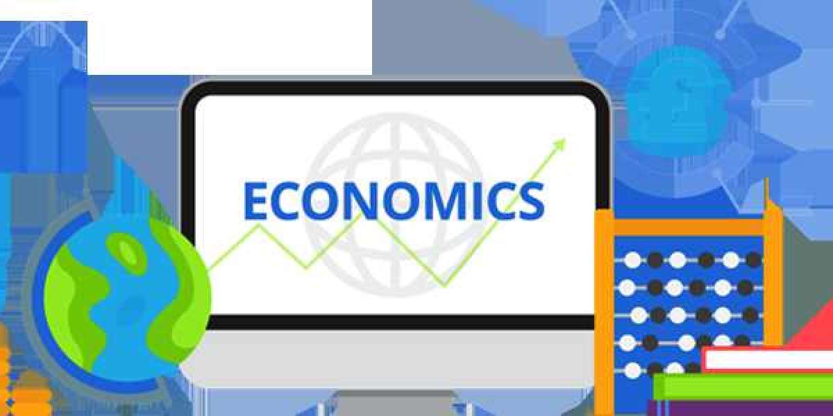 Why Economics Assignment Help is Essential for Academic Success