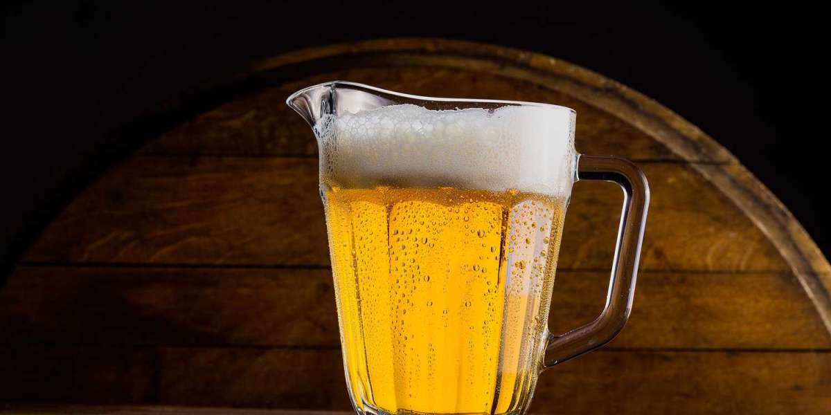 Beer Pitcher Market Trends and Growth Forecast 2030