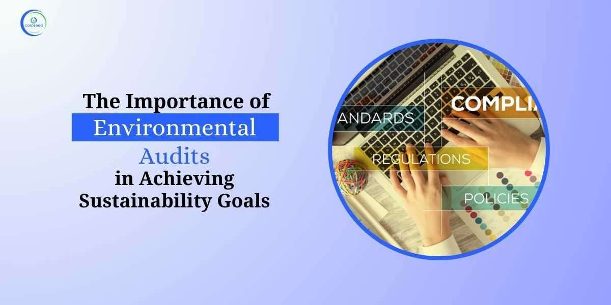 The Importance of Environmental Audits in Achieving Sustainability Goals