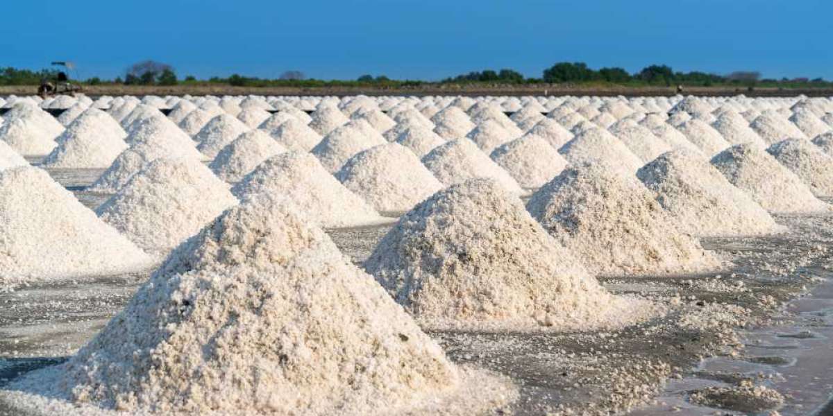 Industrial Salts Market Analysis Business Revenue Forecast Size Leading Competitors And Growth Trends