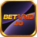 betvnd io