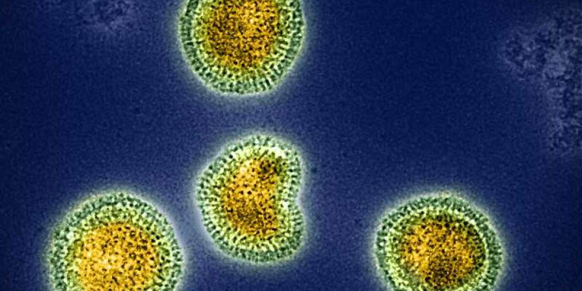 Influenza B Market Size, Opportunity, Analysis & Industry Trends 2024-2034