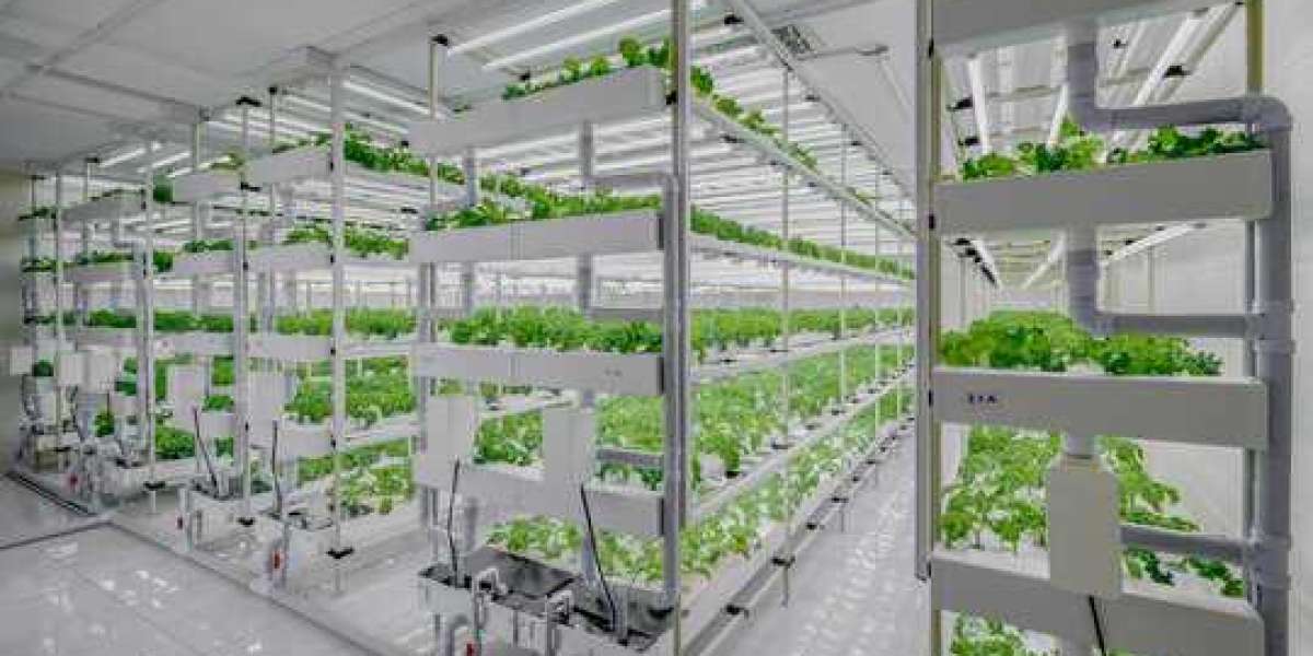 Indoor Agriculture Market Size, Share Analysis, Key Companies, and Forecast To 2030
