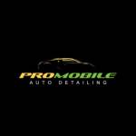 Pro Mobile Auto Detailing
