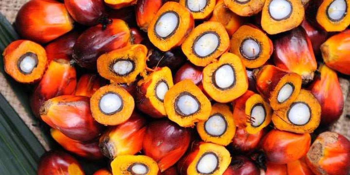 Batana Oil: A Sustainable Beauty Solution