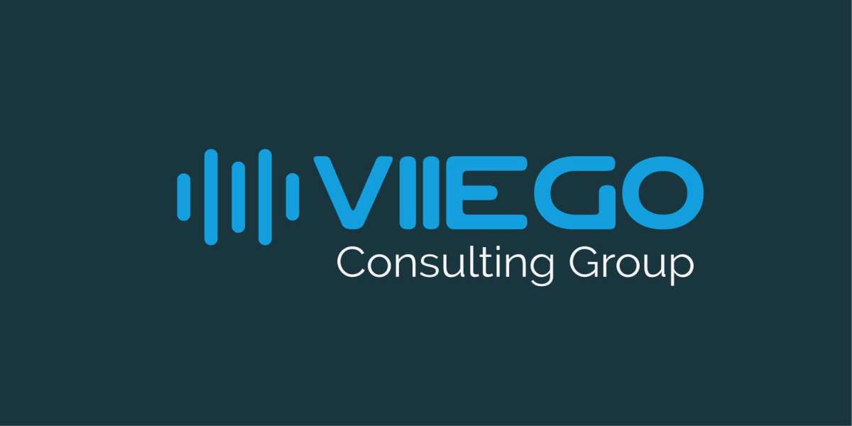 Lifecycle Management Simplified: How Viiego Ensures Optimal Performance and Value