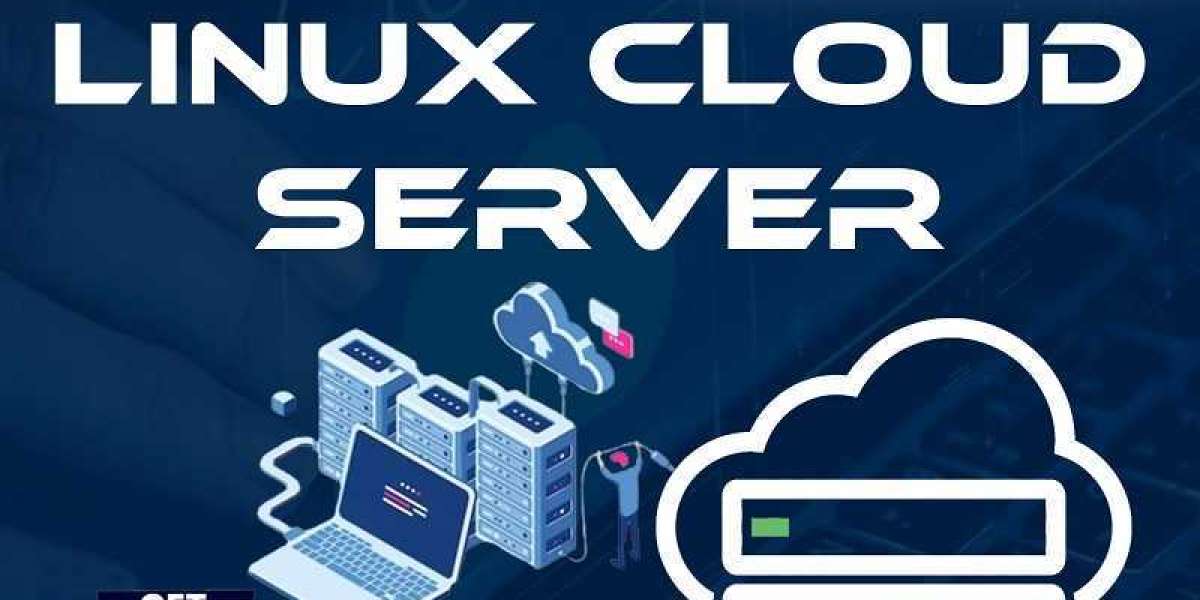 Unlocking the Potential: Linux Cloud Servers in India