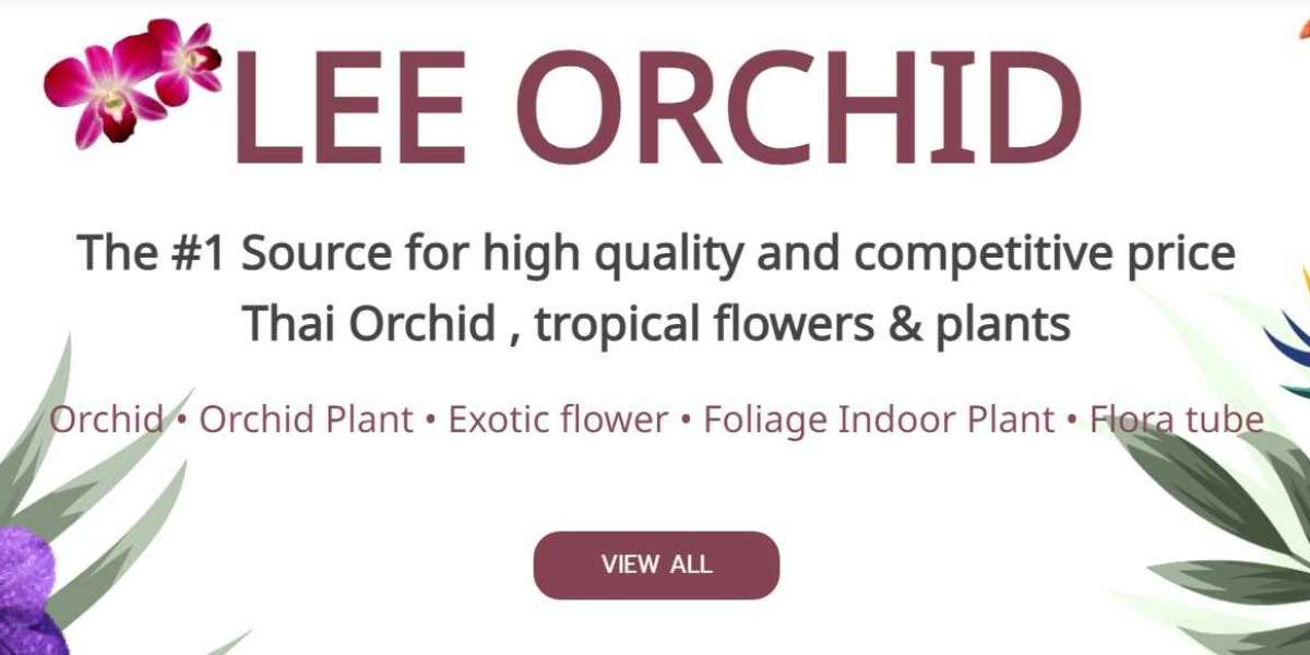 Why Wholesale Orchids From Thailand Are the Perfect Choice for Your Floral Business?