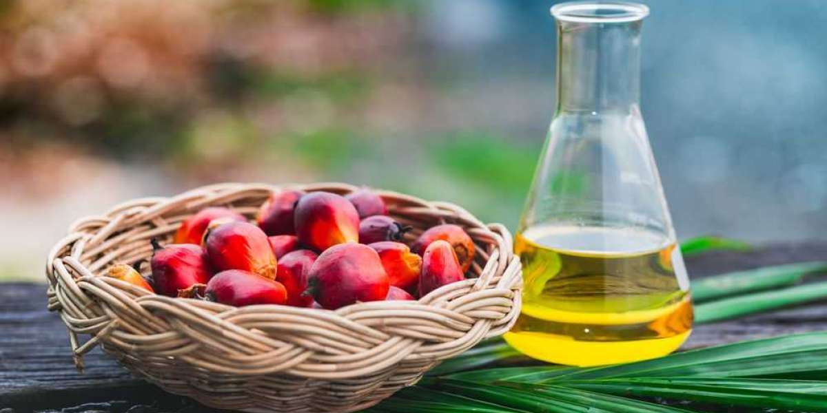 Palm Oil Market is Projected to Reach At A CAGR of 5.3% from 2023 to 2033