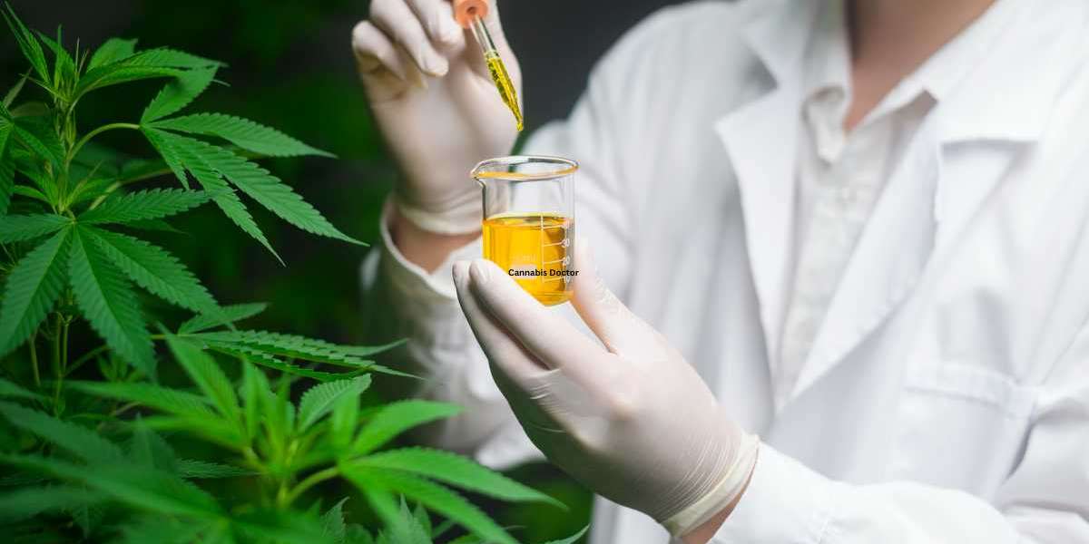 Key Considerations for Selecting a Cannabis Doctor