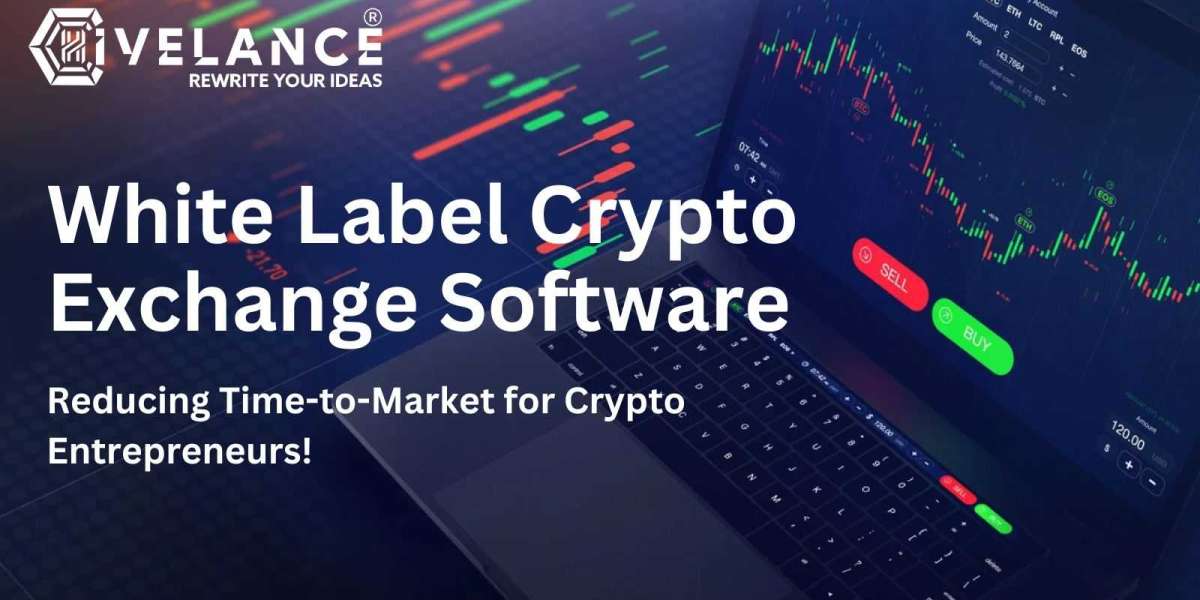 White Label Crypto Exchange Software: Enhance Your Time-to-Market Strategy!