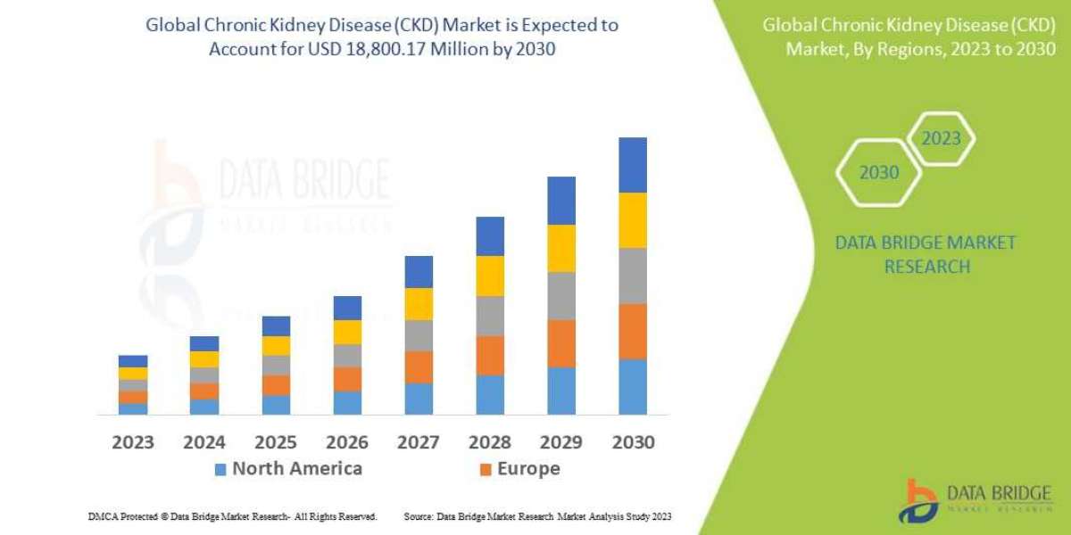 Chronic Kidney Disease (CKD) Market Trends, Drivers, and Restraints: Analysis and Forecast by 2030