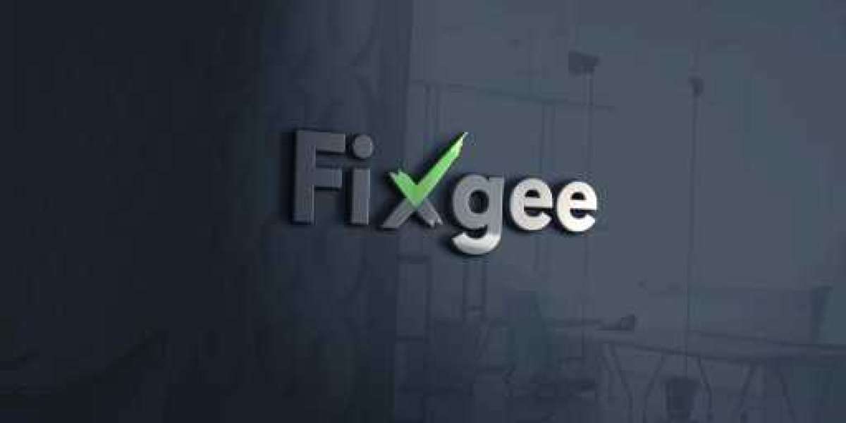 Exploring Fixgee: Innovations and Challenges in Contemporary Engineering