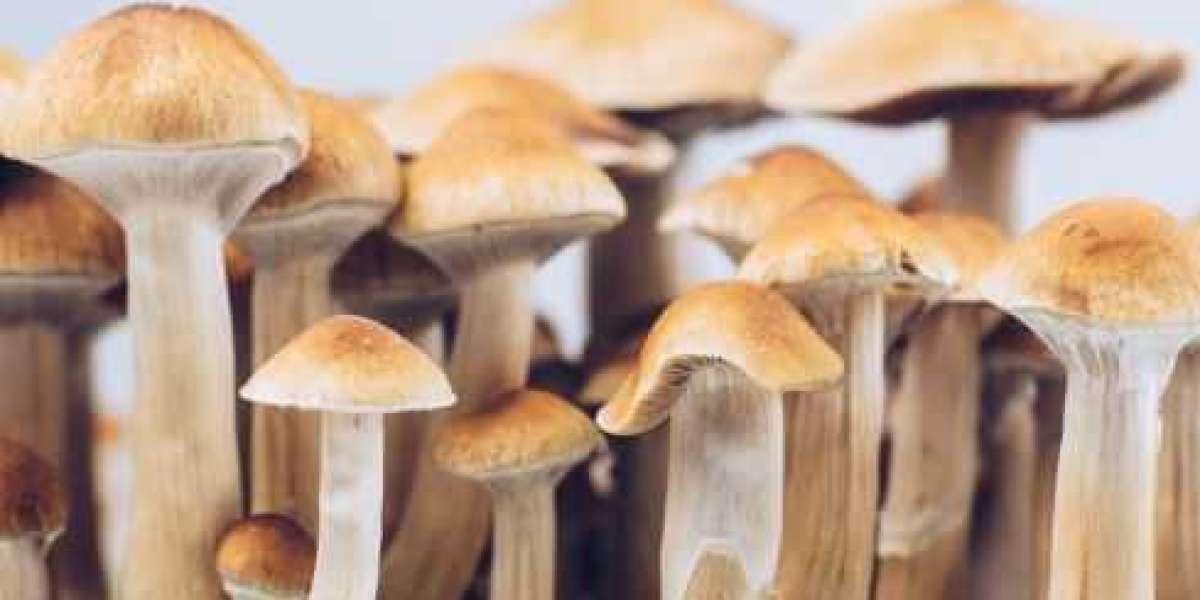 Tips for First-Time Buyers: How to Approach Purchasing Magic Mushrooms with Confidence