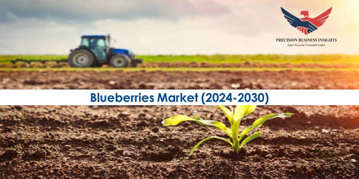 Blueberries Market Demand, Price Forecast Analysis to 2030