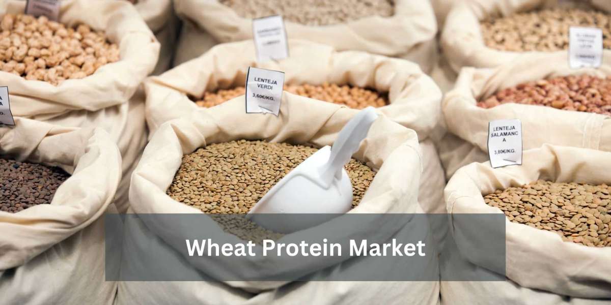 Wheat Protein Market Analysis: Rise of Plant-Based Proteins