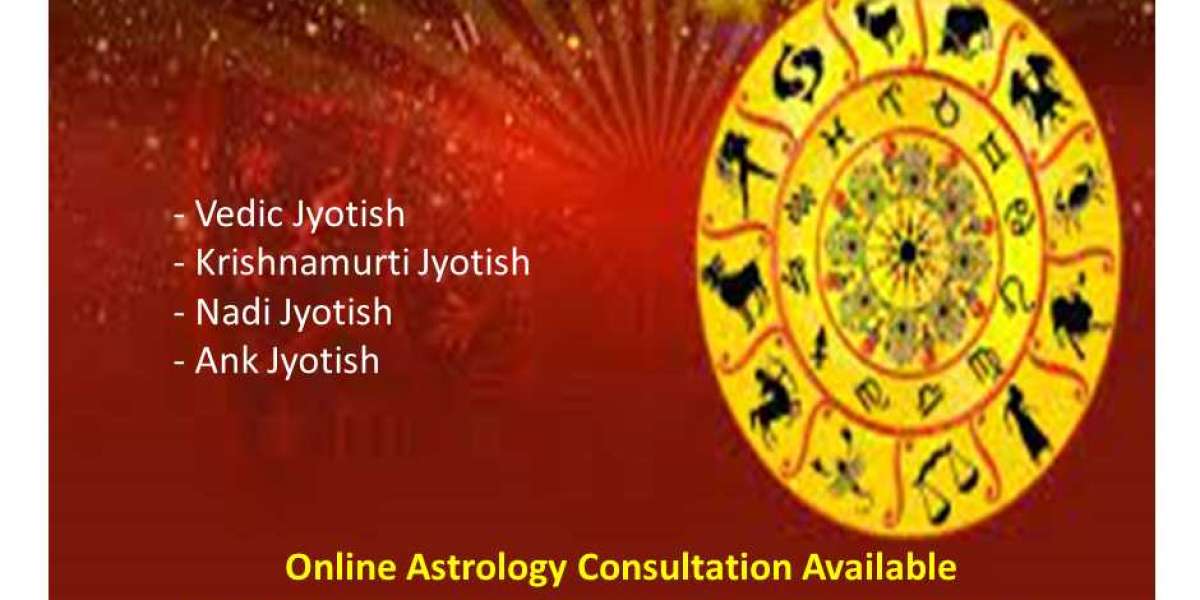 Top Astrologers in Delhi - My City Top Ten