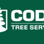 Cody Tree Service
