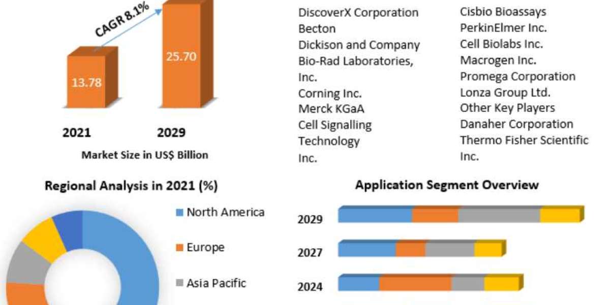 Cell-Based Assays Market Global Industry Growth and Trends Analysis Report 2029