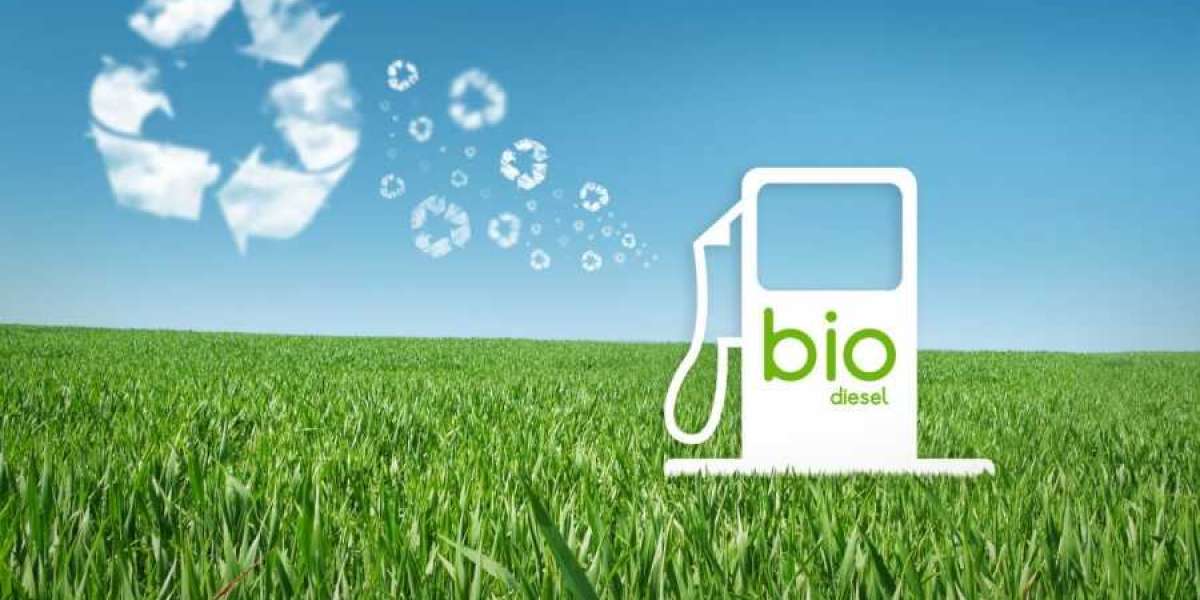 Renewable Bio Jet Fuel Market will Power Aviation Sustainability owing to Lower Carbon Emissions